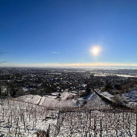 Alte Post Altwahnsdorf Lägenhet Radebeul Exteriör bild
