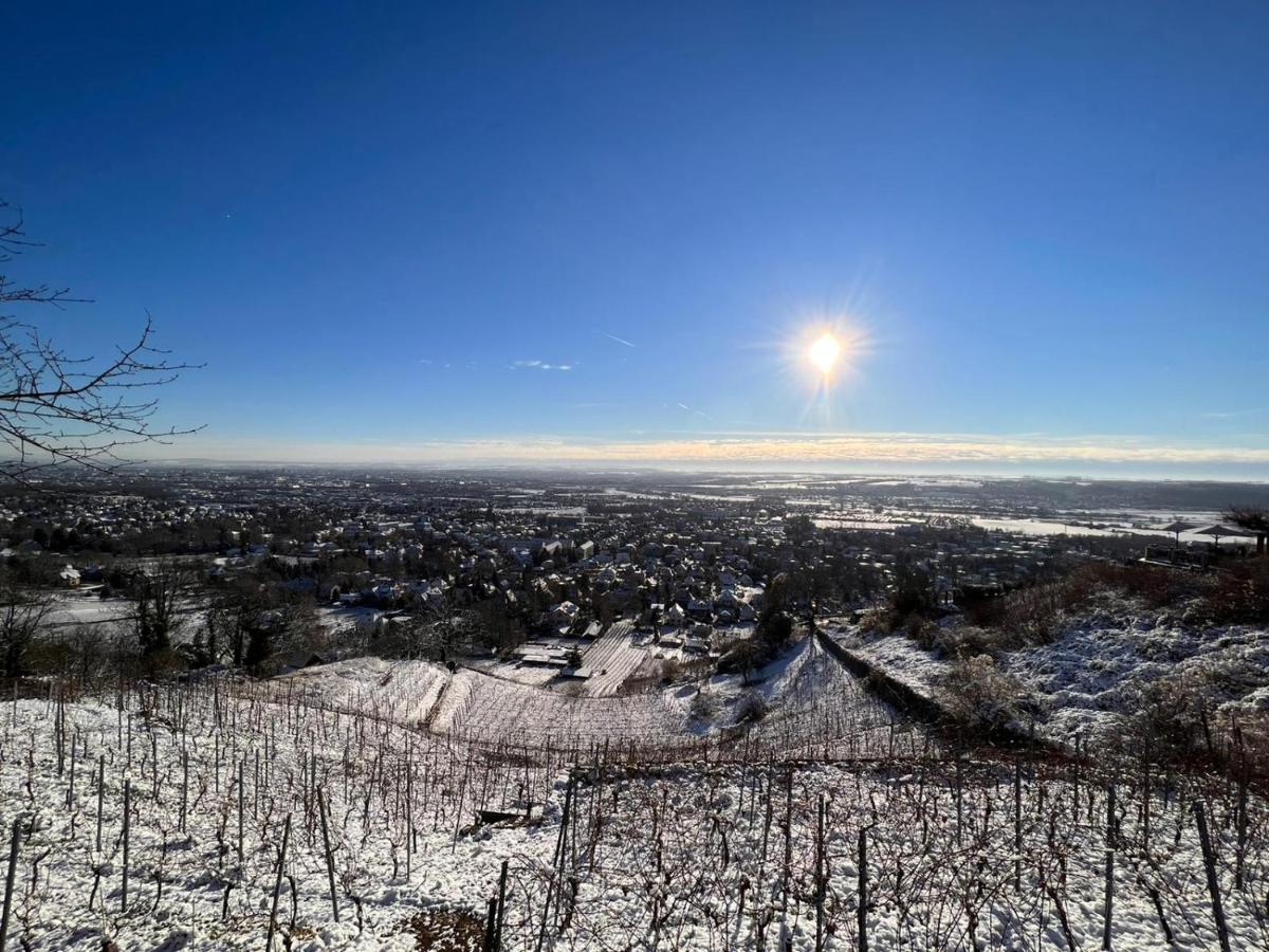 Alte Post Altwahnsdorf Lägenhet Radebeul Exteriör bild